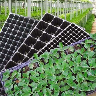 China Eco-Friendly Garden Plant Rack Stand Up Black Plastic Plant Rice Seedling 105 Deep Agriculture Greenhouse Gardening Indoor for sale