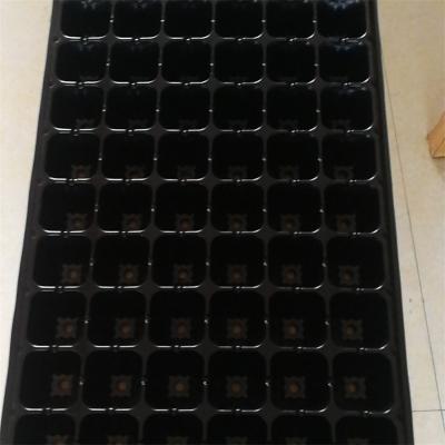 China Hot Sale Eco-Friendly Cell Amazon Vegetable Nursery Sowing Plastic Black Rectangular Seed Tray Seed Nursery Trays Greenhouse 200 Cells Trays for sale