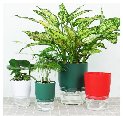 China Modern Indoor Office Around Hydroponic Transparent Clear Succulents Bunga Planter Self Watering Bulk Flower Plant Plastic Pots for sale