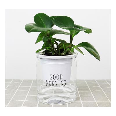 China Modern Indoor Office Around Hydroponic Transparent Clear Succulents Bunga Planter Self Watering Bulk Flower Plant Plastic Pots for sale