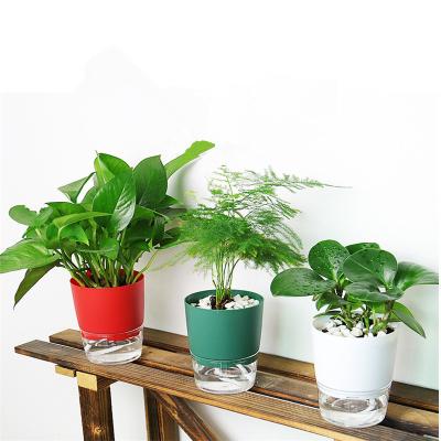 China Diy Flower Pot Eco-friendly Clear Self Airing Deep Drainage Reservoir Flower Pot Aquatic Planter Planter Flowerpot For Home for sale