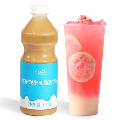 China Natural Milk Tea Shop Special Concentrated Raw Lactic Acid Bacteria Yogurt Drink 1.1kg for sale