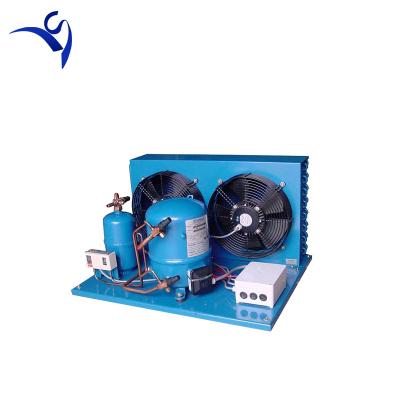 China Airtight Cold Storage Room Freezer Room Maneuop Compressor Milk Tank Air Cooled Condensing Unit for sale