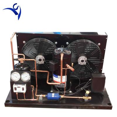 China Open Type Copeland Refrigeration Hotels 3HP Condensing Unit for sale