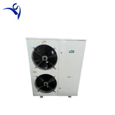 China Cold Storage Room Freezer Room Low Temperature Copeland Scroll Compressor Refrigeration Unit for sale