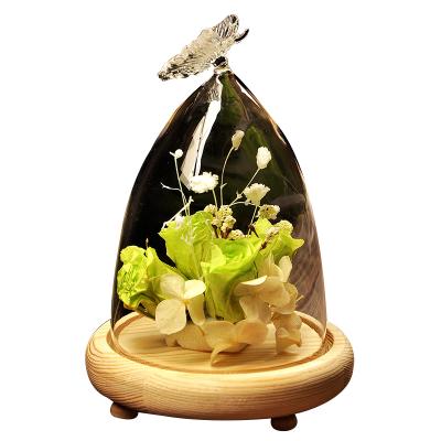 China Wholesale Europe Borosilicate Butterfly Glass Cover With Wooden Base Dustproof Glass Cover for sale