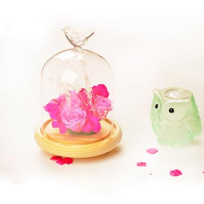 China Europe handmade bird glass cover with wooden base for sale