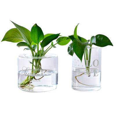 China Hot Sale Home Decoration Plants Vase Glass Vase; glass vase with LOVE for home decoration for sale