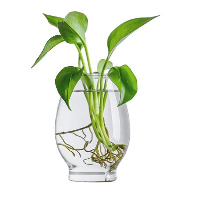 China Mini Greenhouse Hydroponic Home Desktop Planter Plant Vase Decoration Glass Flower Vase/Glass Vases for sale