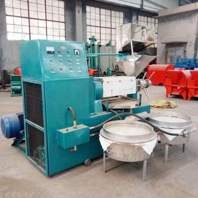 China Automatic Screw Sunflower Oil Press Machine/Sunflower Oil Refining Machine/Sunflower Oil Making Machine for sale