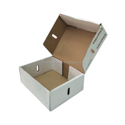 China Recycled Materials DOUBLE TO WALL STRONG CARDBOARD FRUIT BOX for sale