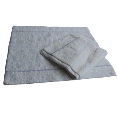 China Sustainable Home Used Broom Cloth Floor Cloth Tile Cleaning Hair Broom for sale