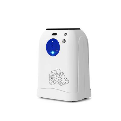 China Factory Price 1L 2L Oxygen Concentrator Home Use With Intelligent Function Protection System Oxygen Atomization Generator 35*15*45.5cm for sale