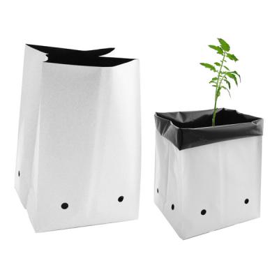 China Waterproof Efficient UV Stabilized Black White Plastic Growing Bag / Jumbo Polyethylene Tree Planter Bag for sale