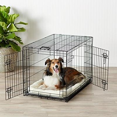 China Sustainable Single Door And Double Door Folding Metal Dog Crate With Paw Protector for sale