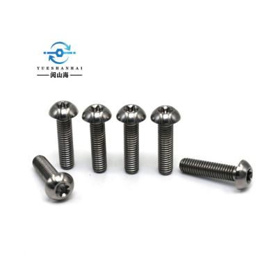 China Manufacture Round Professional Biological Titanium Alloy Screws Gr2 Price Promotion Titanium Bolts for sale