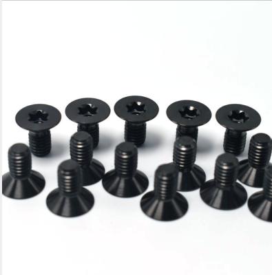 China High Quality and Good Price Disc Ta2 Anodized Color Titanium Alloy Screw Bolts for sale