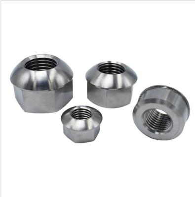 China TA1 Hot Selling China Manufacture Quality Ta1 Titanium Medical Alloy Nut Bolts for sale