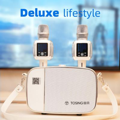 China 2022 Bel Canto Tosing A9 Wireless Home Karaoke Player With Blue Tooth Speaker 50W Speaker For Home And Outdoor for sale