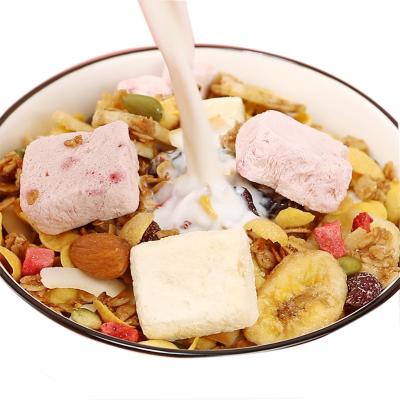 China Natural Delicious Nutritious Yogurt Chunks Nuts Fruit Canned Oatmeal 500g for sale