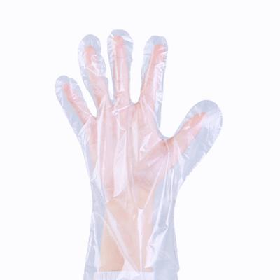 China PE Glove Box Disposable Ready Drop Shipping Agent Food Prep Grade HDPE Touch Glomed Plastic Boxes To Ship Glove for sale