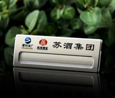 China Cheap Custom Novelty Pin Name Badge 3D Metal Name Badge for sale