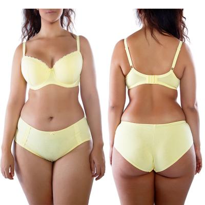 China Breathable Plus Size Women Lace Bra Sets Women Cotton Bra And Panty Sets Plus Size Padded Bra And Panty Sets for sale