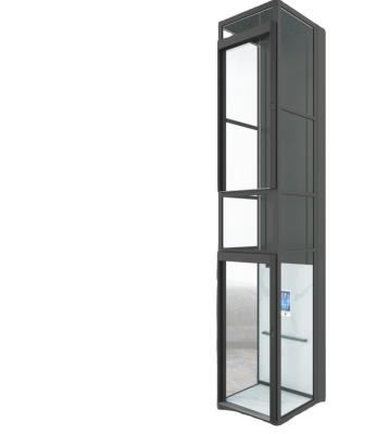 China Modern Machine Roomless Platform Elevator for 2 to 5 Persons/180kg to 400kg for sale