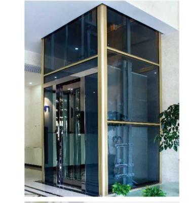 China Modern Machine Roomless Villa Elevator for 2 to 5 Persons/180kg to 400kg for sale