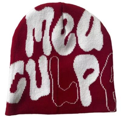 China Image New style for both men and women can be customized brand Jacquard Beanhat embroidery logo Warm winter hat full print Beanhat for sale