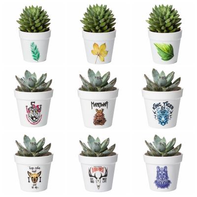 China Bumper-resistant BEES Customize Your Packaging Garden Seed Planter Flower Potted Plant Pot Set OEM Style For Succulent Home Decor for sale