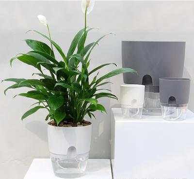 China Convenient Wall Mounted Flower Pot White Self Watering Flower Pot for sale