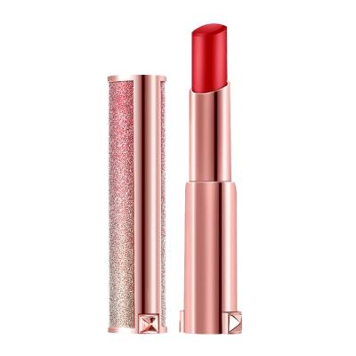 China Waterproof New Custom Lipstick Private Label OEM Lipstick Maker for sale