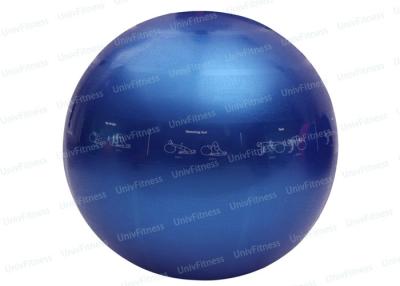 China Large Blue Pilates Stability Ball Workout Printing Back Exercises For Beginners for sale