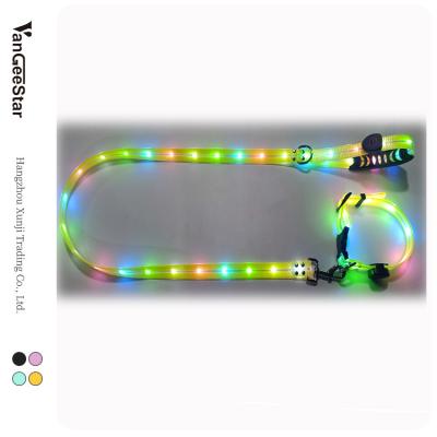 China 2022 Viable Factory Custom Fashionable Logo Waterproof Rechargeable Dog Led Light Collar And Leash Set For Pet for sale