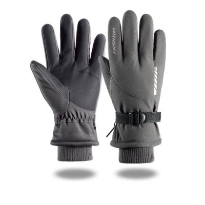 China New Women Ski Gloves For Winter Warmth And Splash Proof Touch Screen Ski Gloves for sale