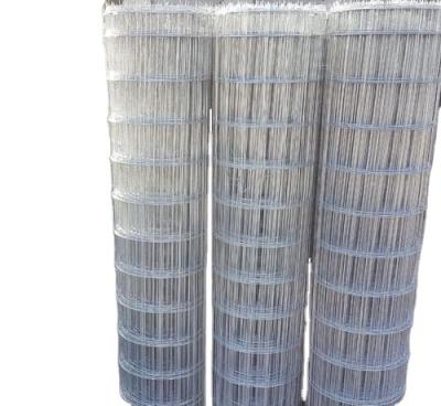 China High Quality Customized SS Woven Wire Mesh Customized | Stainless Steel Woven Wire Mesh for sale