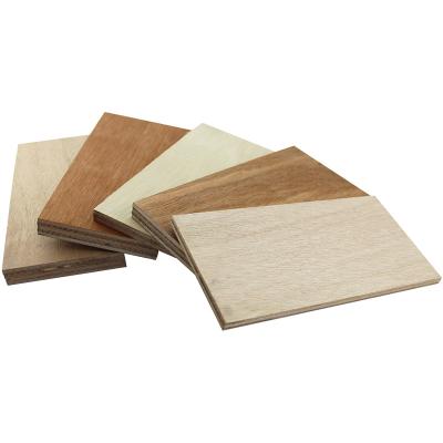 China XIYUE Premium Modern Commercial Building Formwork Premium Plywood Birch Plywood for sale