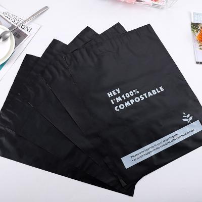 China 100% BIODEGRADABLE Custom Compostable Mylar Pouch Packaging Envelope Envelopes Compostable Pouches Pla Pouch for sale