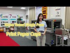 Powerful UV Single Pass Digital Printer Printing Machine Medium Width Print