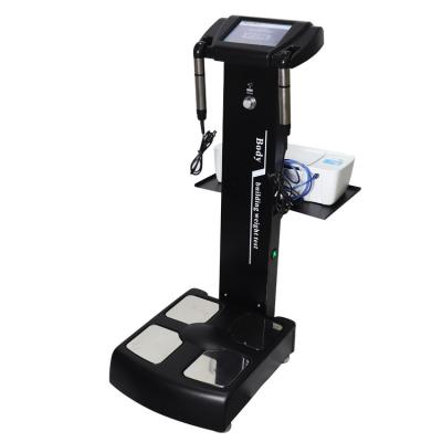 China GS6.5C+ Bio Weight Loss Weight Height Body Composition Analyzer Human Impedance Scales for sale