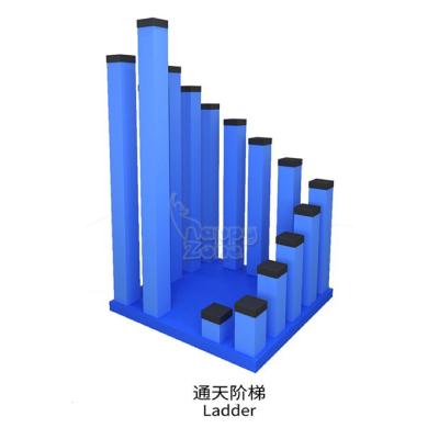 China Climbing Climbing Holds And With Safety Toughness China Kids Climbing Walls Climbing Area For Kids Training Fitness Center for sale