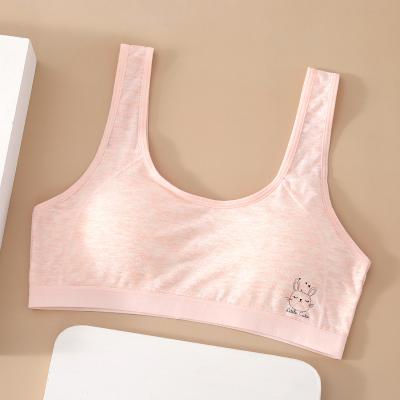 China Beautiful Breathable Sexy Workout Sports Soft Top Modal Tube Girls Breathable Bra for sale