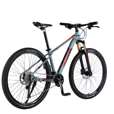 China Aluminum Alloy Factory Sale High Quality Wholesale Customized 10 Speed ​​Adult Bicycle Mountain Bike for sale