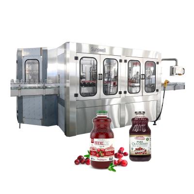 China Rotary Complete Juice Glass Bottle Juice Hot Beverage Fruit Filling Bottling Machine for sale