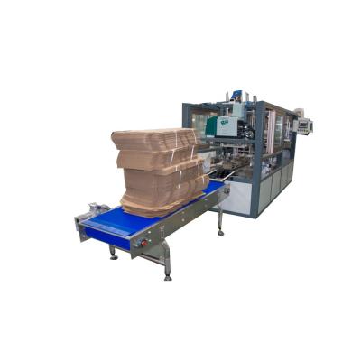 China Small Food Glass Bottle Wrapping Packaging Machine Carton Packer ForBeverage Industry for sale