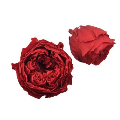 China Real Romantic Preserved Rose All Occasions Decoration Opens Stable Red Flowers Austin Immortal Rose Wall for sale