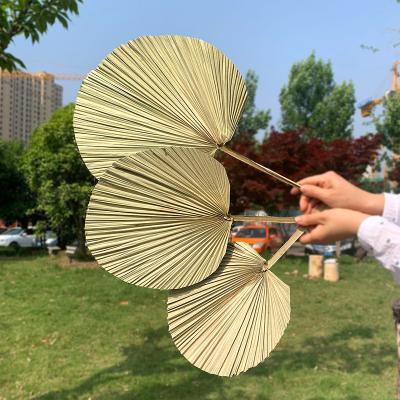 China Natural Hot Selling Decorative Flowers Touch Dried Palm Leaves Real Touch Dried Palm Flowers For Bouquet Making for sale