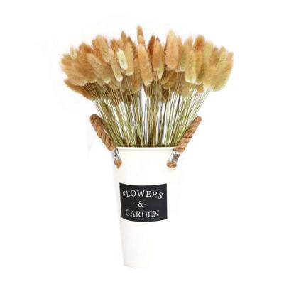 China Wholesale Natural Contact Dried Flowers Lagurus Ovatus Brown White Bunny Tail Grass for sale