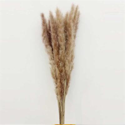 China Wholesale natural touch style nordic grassland feathers grassland grassland artificial grass bouquet bottle for sale